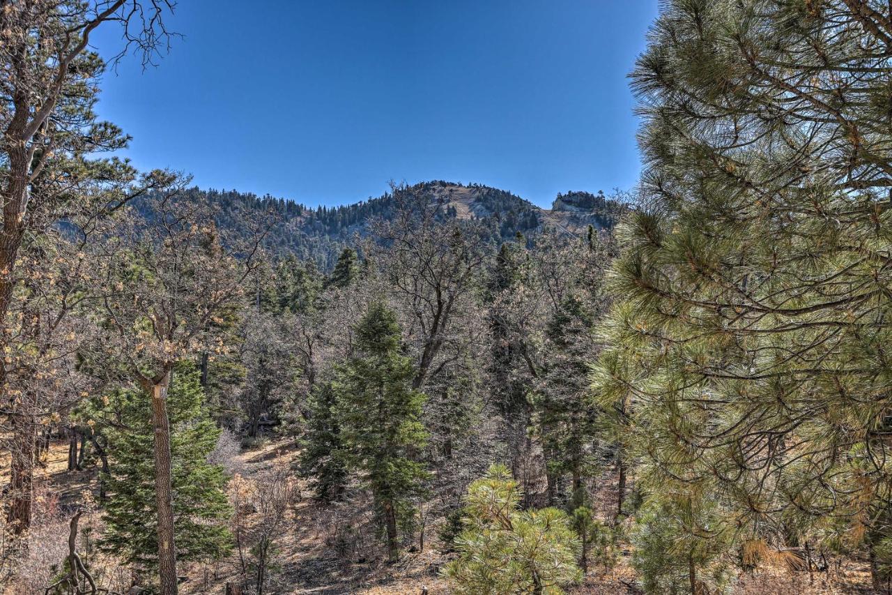 Chocolate Moose Cabin Short Walk To Slopes Villa Big Bear Lake Eksteriør bilde