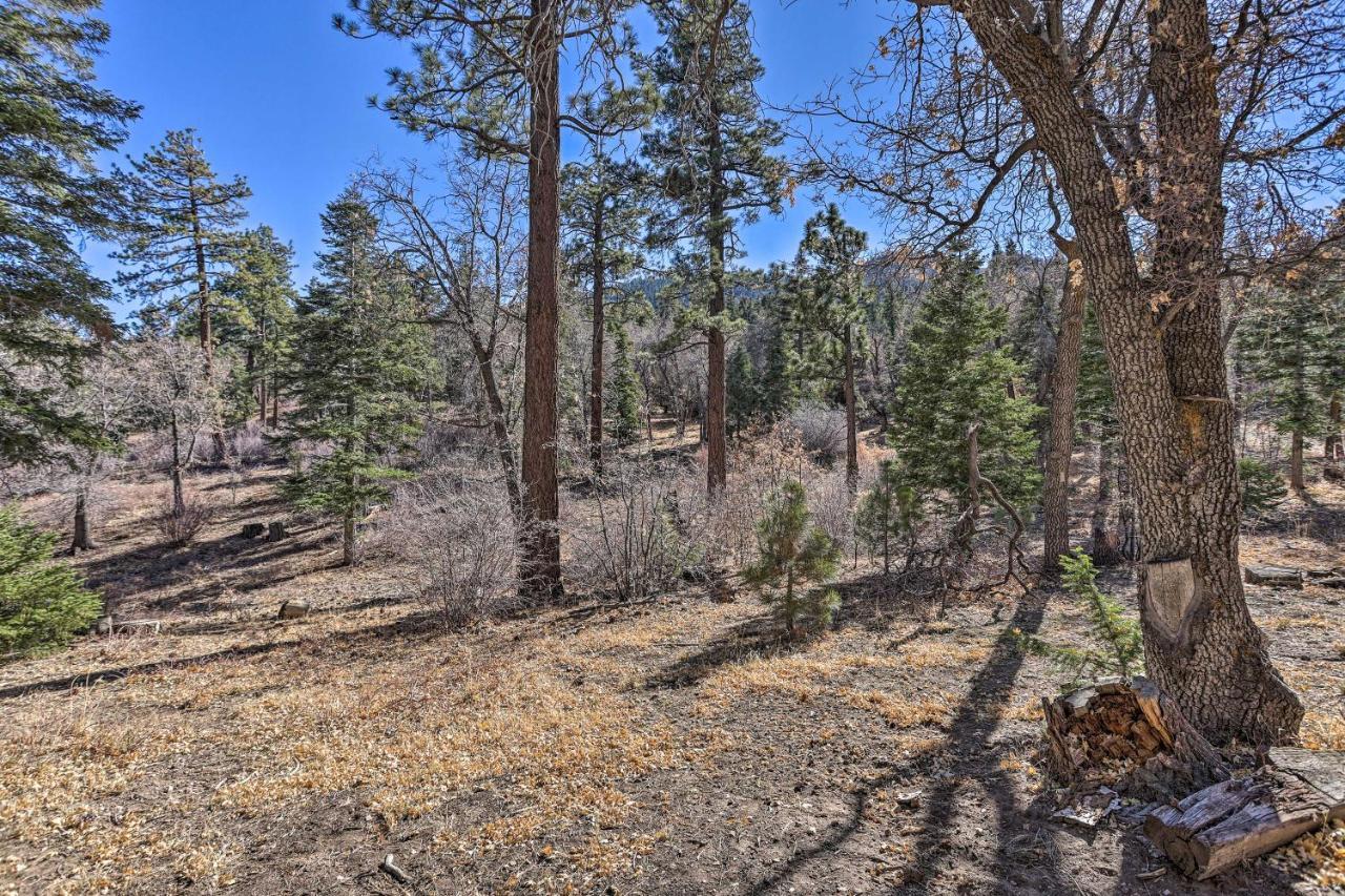 Chocolate Moose Cabin Short Walk To Slopes Villa Big Bear Lake Eksteriør bilde