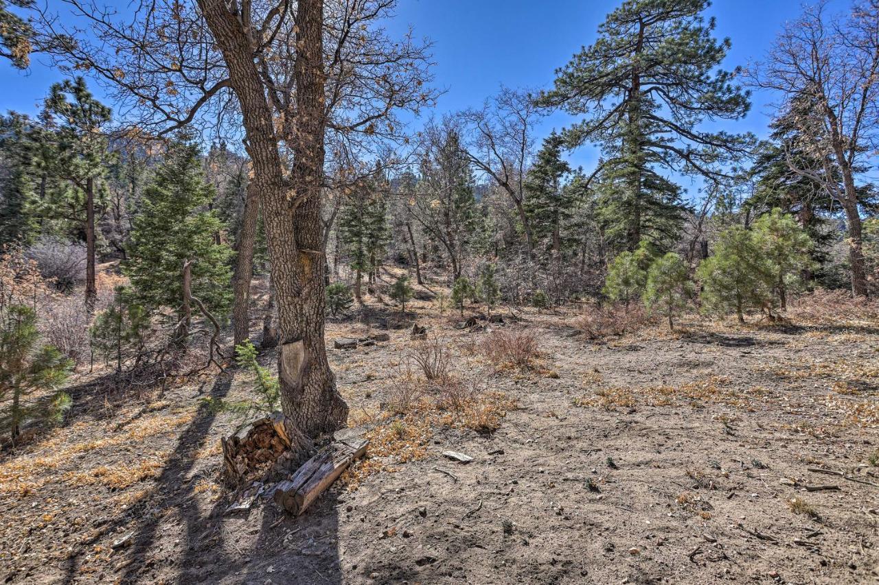 Chocolate Moose Cabin Short Walk To Slopes Villa Big Bear Lake Eksteriør bilde